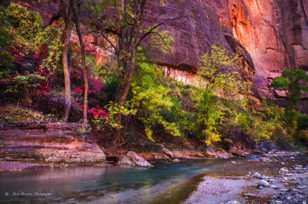 Zion Canyon, Fall-4460.jpg Zion Canyon, Fall-4460.jpg